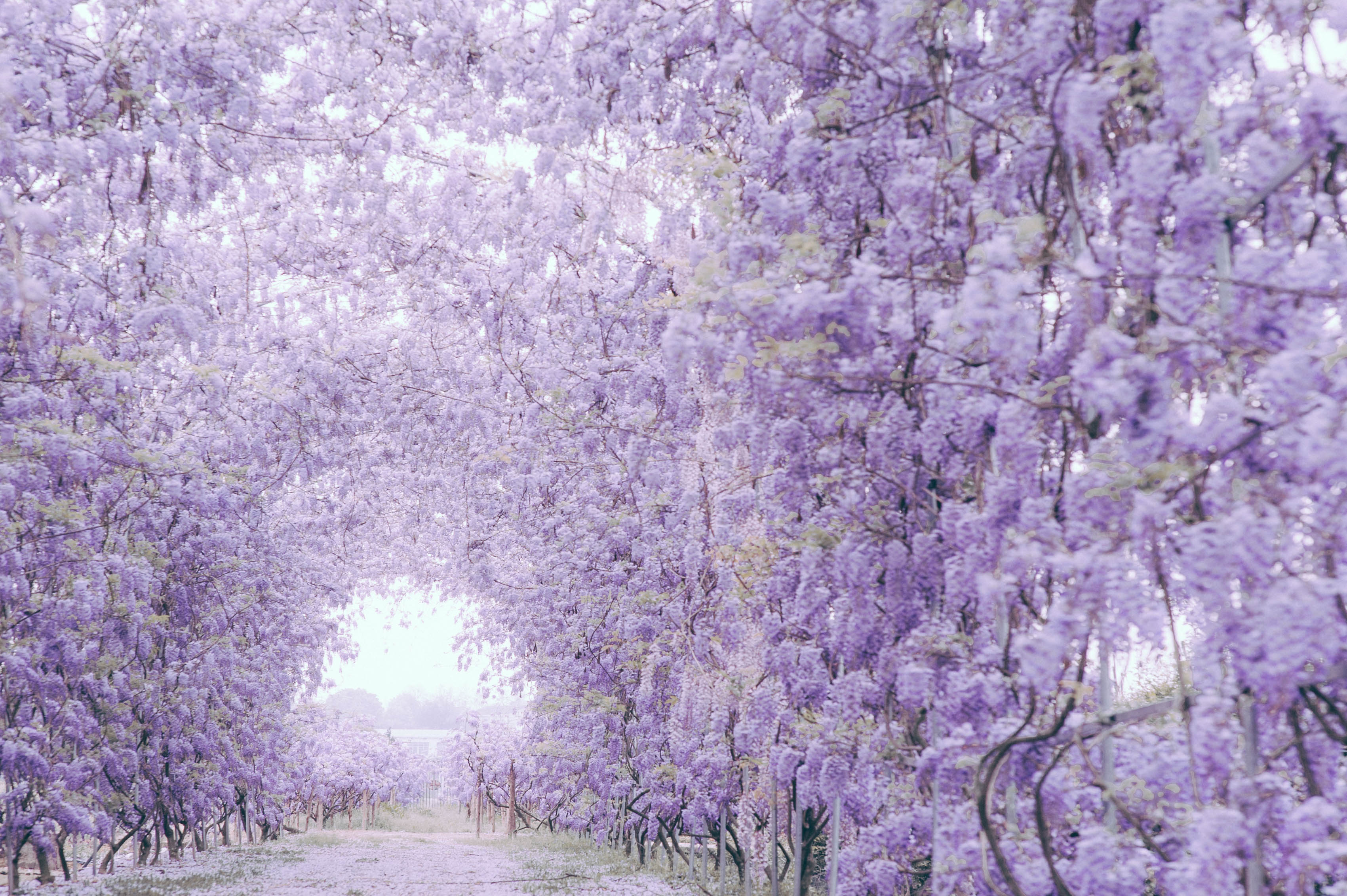 ˹һϼĴ
